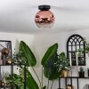 Ripoll ceiling light clear, coppery, 1-light source