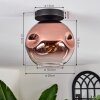 Ripoll ceiling light clear, coppery, 1-light source