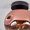 Ripoll ceiling light clear, coppery, 1-light source