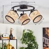 Ramila ceiling light black, 3-light sources