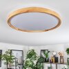 Sofo ceiling light LED white, 1-light source, Remote control