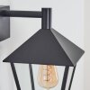 Anfei outdoor wall light black, 1-light source