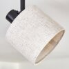 Bassagoda ceiling light black, 2-light sources