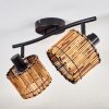 Cando ceiling light black, 2-light sources