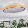 Sofo ceiling light LED white, 1-light source, Remote control