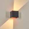 Tamarin outdoor wall light, Up & Down Light, wall light LED copper, black, 1-light source