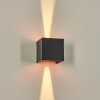 Tamarin outdoor wall light, Up & Down Light, wall light LED copper, black, 1-light source