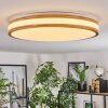 Sofo ceiling light LED white, 1-light source, Remote control