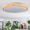 Sofo ceiling light LED white, 1-light source, Remote control