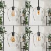 Vevino pendant light black, 4-light sources