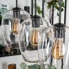 Vevino pendant light black, 4-light sources