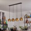 Ripoll pendant light black, 4-light sources