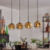 Ripoll pendant light black, 4-light sources