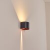 Tamarin outdoor wall light, Up & Down Light, wall light LED copper, black, 1-light source