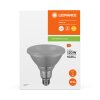 Ledvance Lights E27 LED 13.5 Watt warm-white 1035 Lumen