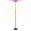 Ledvance Lights Wifi floor lamp LED black, 1-light source, Colour changer