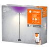 Ledvance Lights Wifi floor lamp LED black, 1-light source, Colour changer