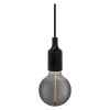 Ledvance Lights 1906 pendant light black, 1-light source