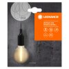 Ledvance Lights 1906 pendant light black, 1-light source