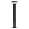 Ledvance Lights Endura outdoor floor lamp LED grey, 1-light source