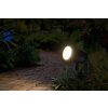 Ledvance Lights Endura garden spotlight LED black, 1-light source