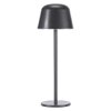 Ledvance Lights Endura table lamp LED grey, 1-light source