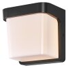 Ledvance Lights Endura outdoor wall light LED grey, 1-light source