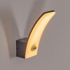 Azia outdoor wall light LED anthracite, 1-light source, Motion sensor