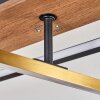 Cascada ceiling light LED brass, Ecru, black, 1-light source