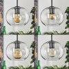 Apedo pendant light clear, 4-light sources