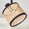 Ramila ceiling light black, 4-light sources