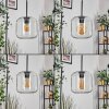 Lauden pendant light black, 5-light sources