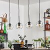 Ripoll pendant light black, 4-light sources