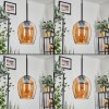 Vevino pendant light Amber, 5-light sources