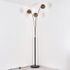 Ripoll floor lamp black, 3-light sources