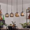 Ripoll pendant light black, 4-light sources