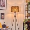 Cando floor lamp, Reading light black, 1-light source