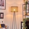 Cando floor lamp, Reading light black, 1-light source