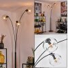 Ripoll floor lamp clear, 3-light sources