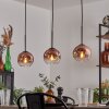 Ripoll pendant light clear, coppery, 3-light sources