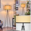 Chellas floor lamp black, 1-light source