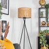 Barcos floor lamp black, 1-light source