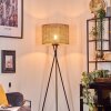 Barcos floor lamp black, 1-light source