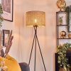 Barcos floor lamp black, 1-light source