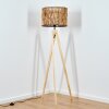 Cando floor lamp Ecru, 1-light source