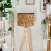 Cando floor lamp Ecru, 1-light source