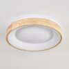 Lockeby ceiling light LED Ecru, white, 1-light source, Remote control