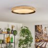 Melstad ceiling light LED Ecru, black, white, 1-light source