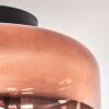 Boza ceiling light clear, coppery, 1-light source