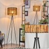 Cando floor lamp Ecru, black, 1-light source